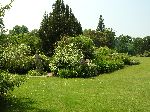 2006-0608-1224-37.jpg
